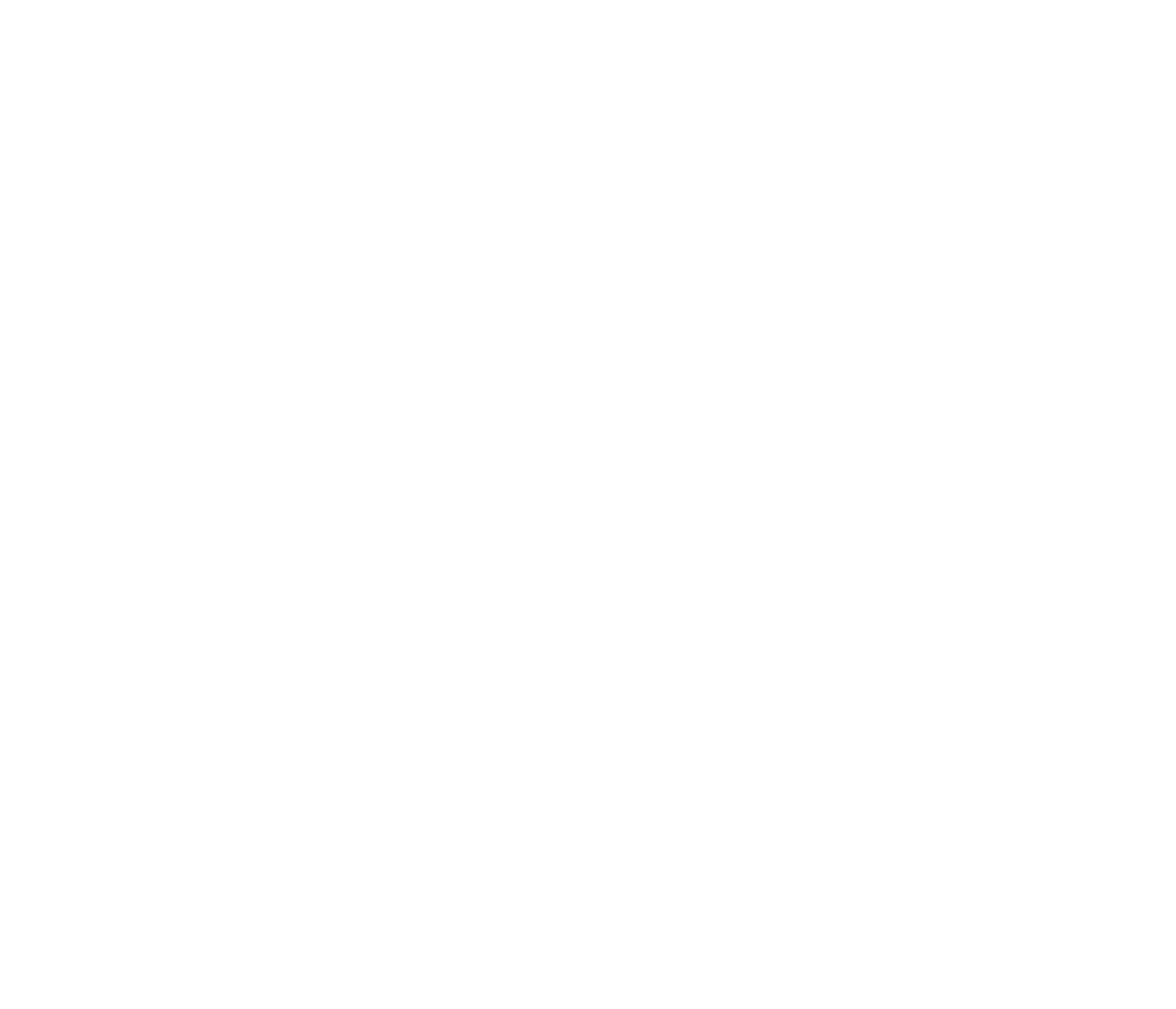Patriot Disability Advocates