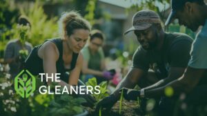TheGleanersFeature